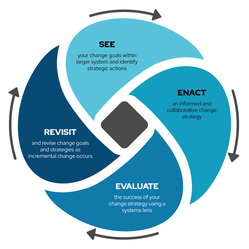 A circular path around the 4 SEER process principles: "see", "enact", "evaluate" and "revisit". A link to the full description is after the diagram.